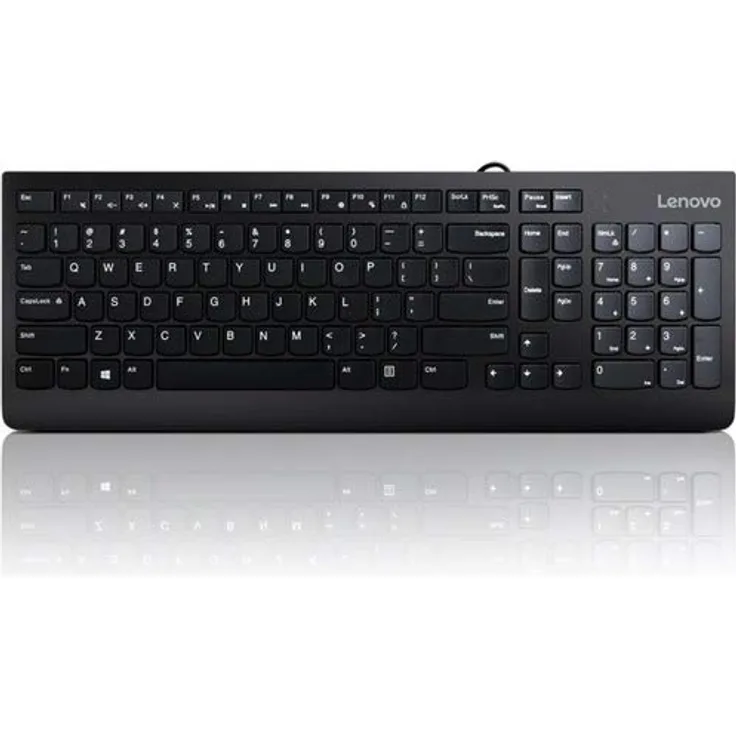 Lenovo 300 USB Tastatur, verkabelt, neigbar, ergonomisch, Windows 7-8-10, GX30M39655 schwarz