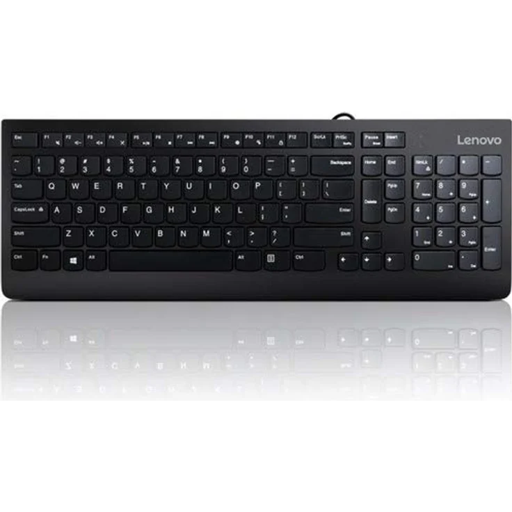 Lenovo 300 USB Tastatur, verkabelt, neigbar, ergonomisch, Windows 7-8-10, GX30M39655 schwarz