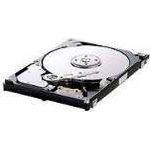 Samsung HM100JC Spinpoint M60 100 GB