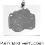 Fujitsu - Solid-State-Disk - 480 GB - intern - M.2 - SATA 6Gb/s - für PRIMERGY RX2520 M5, RX2530 M4, RX2530 M5, RX2540 M5, RX4770 M4, TX1320 M4, TX2550 M5 (S26361-F5706-L480)