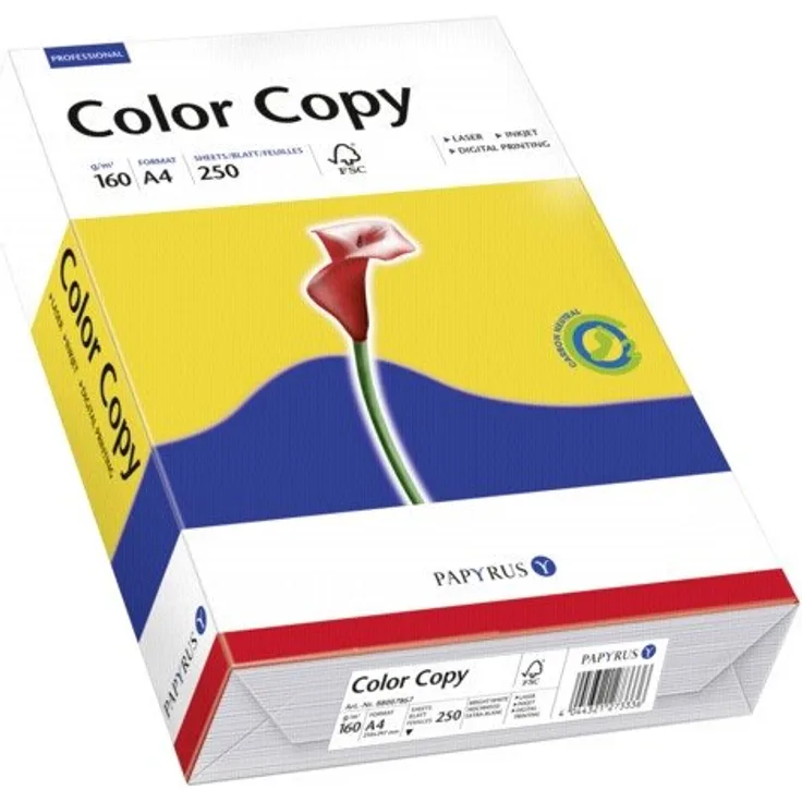 Mondi Color Copy A 4, 160 g 250 Blatt, hochweiß, satiniert