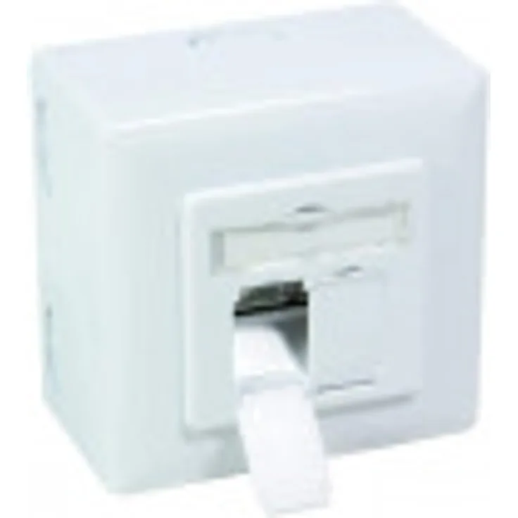 Cat.6A Netzwerkdose LAN Dose universal Unterputzdose Aufputzdose 2 x RJ45 Buc...