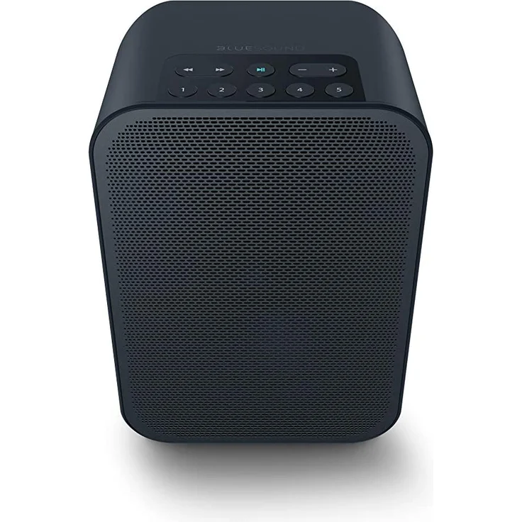 Bluesound Pulse FLEX 2I Multiroom-Lautsprecher mit Alexa, Webradio, geeignet für Indoor, Outdoor, schwarz – Bild 1
