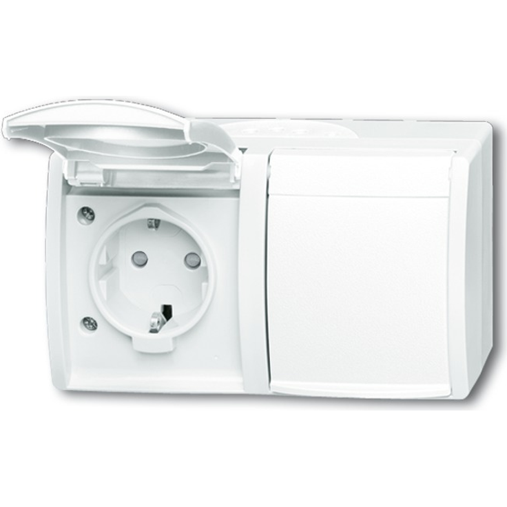 Busch-Jaeger BUSC 20-2 EBW-54 2fach waagerecht Ocean Steckdose