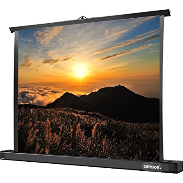 Celexon Leinwände Tischleinwand Professional Mini Screen 61 x 46cm