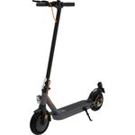 TrekStor EG 3178 E-Scooter, mit Straßenzulassung, Grau/Schwarz, 20 km/h
