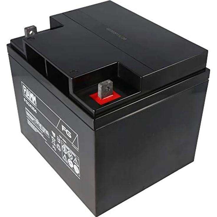 Fiamm FG24204, 12V Blei-Gel Fahrzeugbatterie mit 42Ah, wartungsfrei und tiefentladesicher – Bild 1