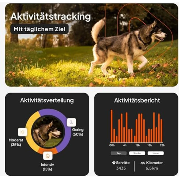 Weenect Hund XT GPS-Halsband für Hunde, wasserdicht, mit XL-Antenne und integriertem Julius-K9 Halsband, gelb, Abonnement erforderlich – Bild 4