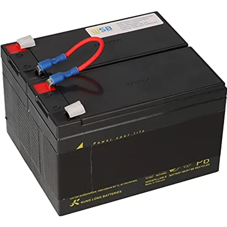 Akku kompatibel APC Back UPS RS 1200 1500 ersetzt RBC109