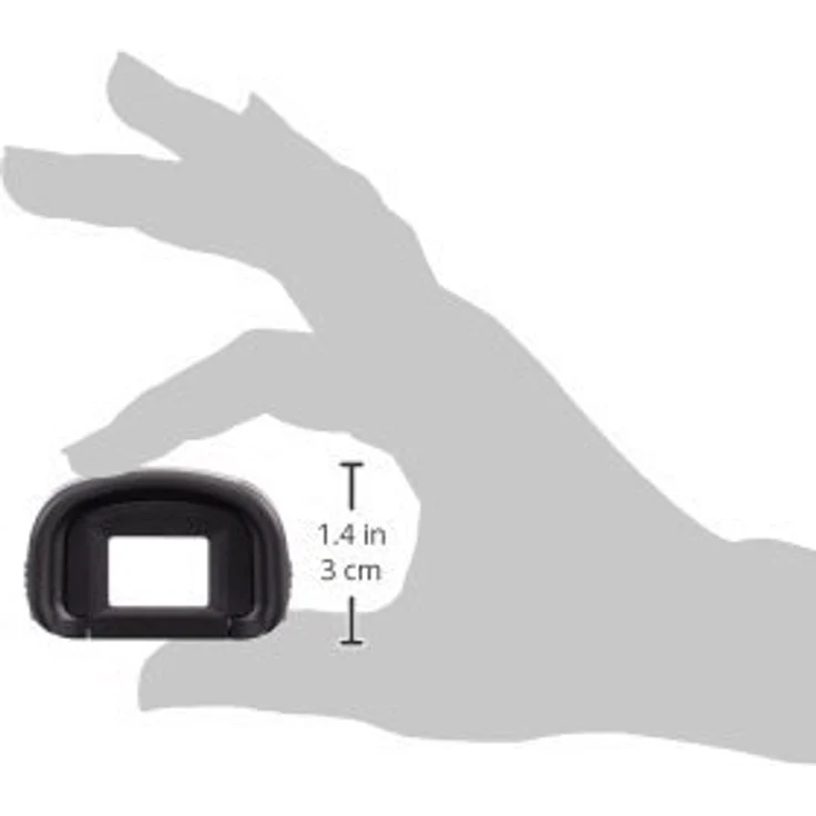 Canon Augenmuschel Typ Eg  – Bild 4