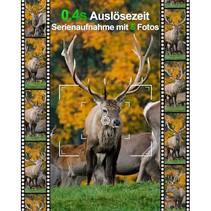 Rollei 4K WiFi Wildkamera D61T1AW Überwachungskamera – Bild 4