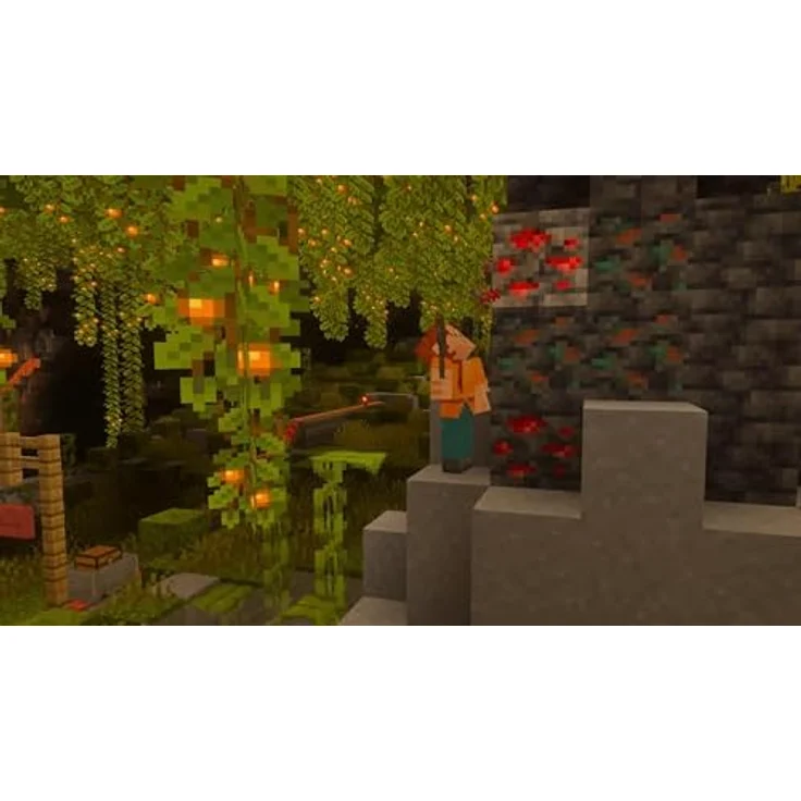 Nintendo SW2 MINECRAFT, Gaming-Konsole mit Super Mario Mash-up Pack, grau – Bild 6