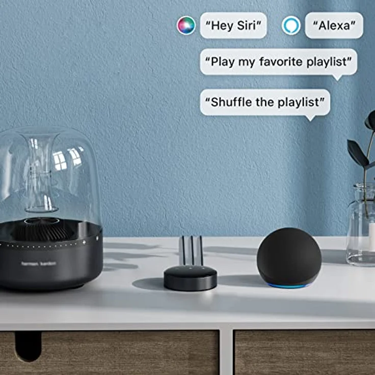WiiM Mini Streamer Audio AirPlay 2 Receiver HiFi Wireless, Multiroom Stereo, Vorverstärker, funktioniert mit Alexa und Siri Sprachassistenten, Streaming Hi-Res Audio von Spotify, Amazon Music und mehr – Bild 5