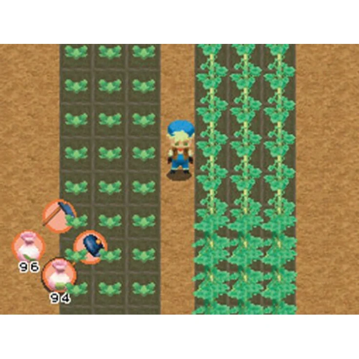 Harvest Moon (DS) – Bild 10