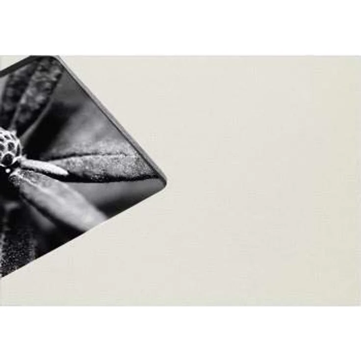Hama Fotoalbum, 28 x 24 cm, 50 schwarze Seiten, 25 Blatt, mit Ausschnitt für Bildeinschub, Fotobuch kreide – Bild 3