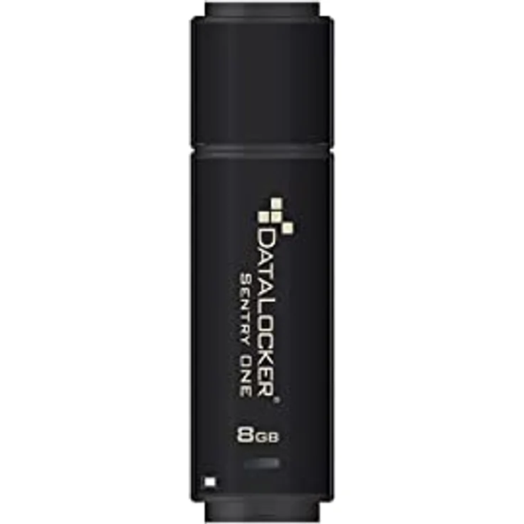 DataLocker Sentry ONE - USB-Flash-Laufwerk - verschlüsselt - 8GB - USB 3,1 Gen 1 - FIPS 140-2 Level 3 (SONE008) – Bild 2