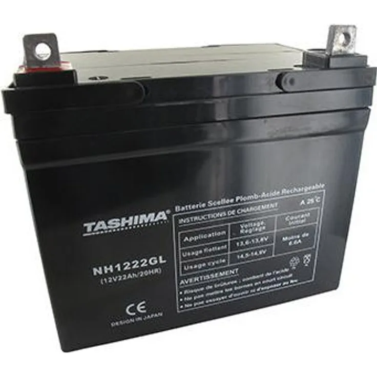 Tashima Gel/AGM Batterie 100% wasserdicht, 12V, 22A für Traktor, L: 195mm, B: 130mm, H: 180mm, Säurebatterie zum Einfüllen