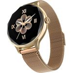 Noise Diva Smartwatch with Diamond Cut dial, Glossy Metallic Finish, AMOLED Display, Mesh Metal and Leather Strap Options, 100+ Watch Faces, Female Cycle Tracker Smart Watch for Women, SpO2 Tracking, Silver