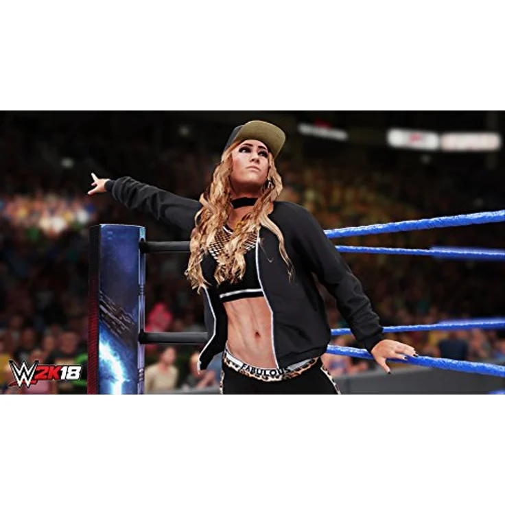 WWE 2K18 (Switch) – Bild 5