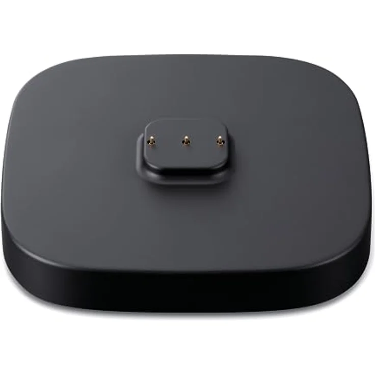 Yamaha CC-T1A Ladestation für den tragbaren Bluetooth-Lautsprecher WS-B1A von Yamaha – Aufladen über USB-C-Kabel – Bild 1