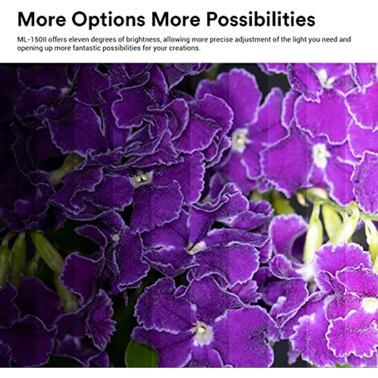 Godox ML150II Makro Ringblitz - Perfektes Licht für Makrofotografie - 4xAA Alkaline-Batterien - Einstellbare Helligkeit - Hohe Leitzahl GN12 – Bild 3