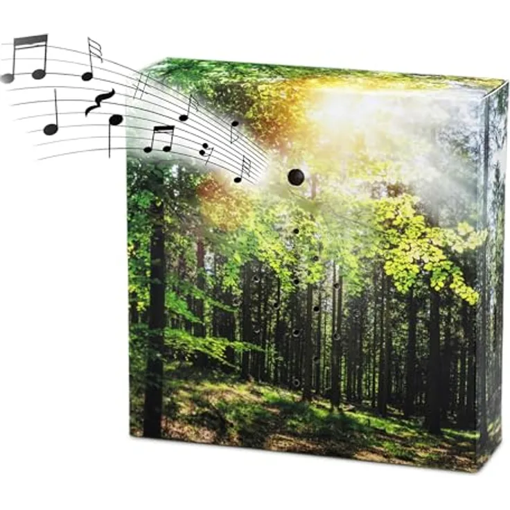Spetebo 1.01 Soundbox Wald, Bluetooth-Lautsprecher mit beruhigenden Vogelgeräuschen, mehrfarbig, 12 cm