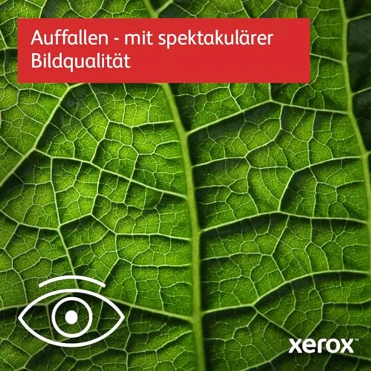 Xerox VersaLink C625V DN Multifunktions-Laserdrucker 1200x1200 DPI weiß - Farblaser-Technologie, Duplex-Druck, drahtlose Schnittstellen, 7-Zoll-Farb-Touchscreen – Bild 4