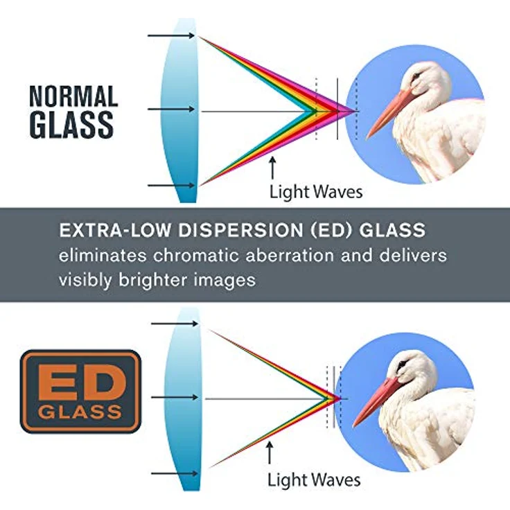 Celestron 71390 Regal ED 8x42 Fernglas für Natur- und Vogelbeobachtungen, phasen- und dielektrisch beschichtete BaK-4-Prismen, vollvergütete Linsen, Nahfokus von 2,5 m – Bild 3