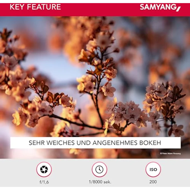 Samyang AF 85mm F1.4 F für Nikon F - 85mm Festbrennweite Autofokus Vollformat Objektiv für Nikon Spiegellose und Spiegelreflex DSLR Vollformat und APS-C Kameras mit Nikon F Mount, 77mm Filtergewinde – Bild 6