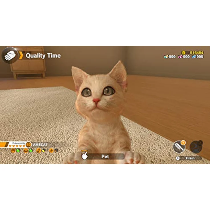 Fireshine Games Little Friends: Dogs & Cats NSW - Nintendo Switch Simulation Game – Bild 3