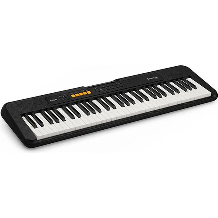 CASIO Casiotone CT-S100AD, Home-Keyboard mit 61 Tasten und Netzadapter, transportabel mit USB to Host Anschluss
