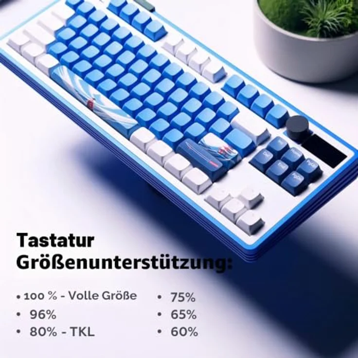 Dark Project GeekBoy PBT-Tastenkappen, ergonomisches CSA-Profil, ANSI/ISO-Layout, blau oder weiß – Bild 6