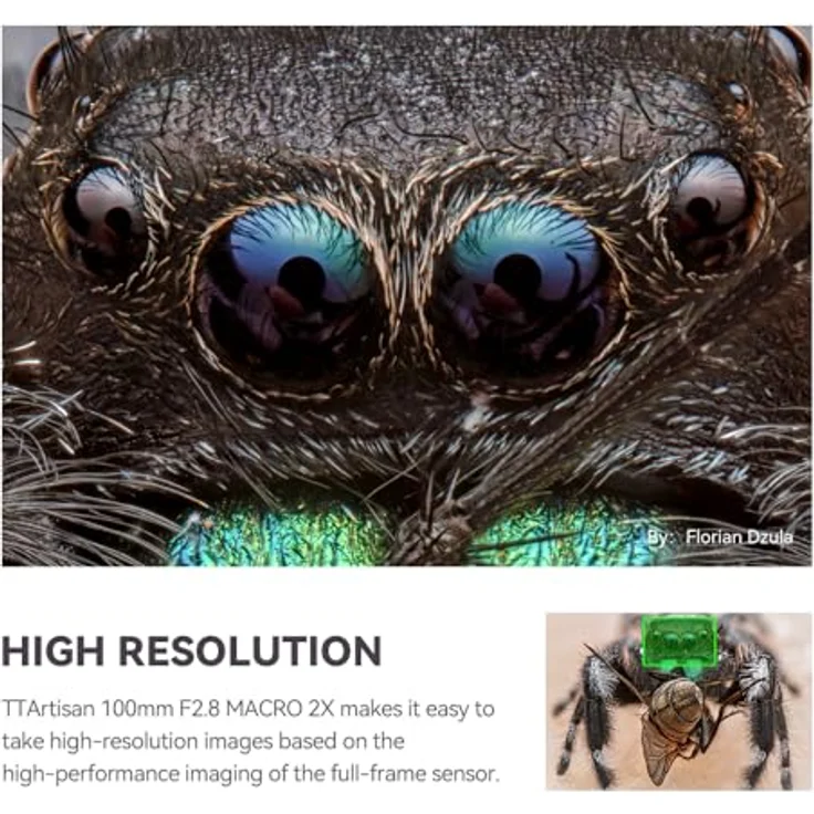 TTARTISAN 100 mm F2.8 Makro 2X Metallgehäuse Objektiv mit Kaltschuhhalterung, Sony E-Mount, Schwarz – Bild 4