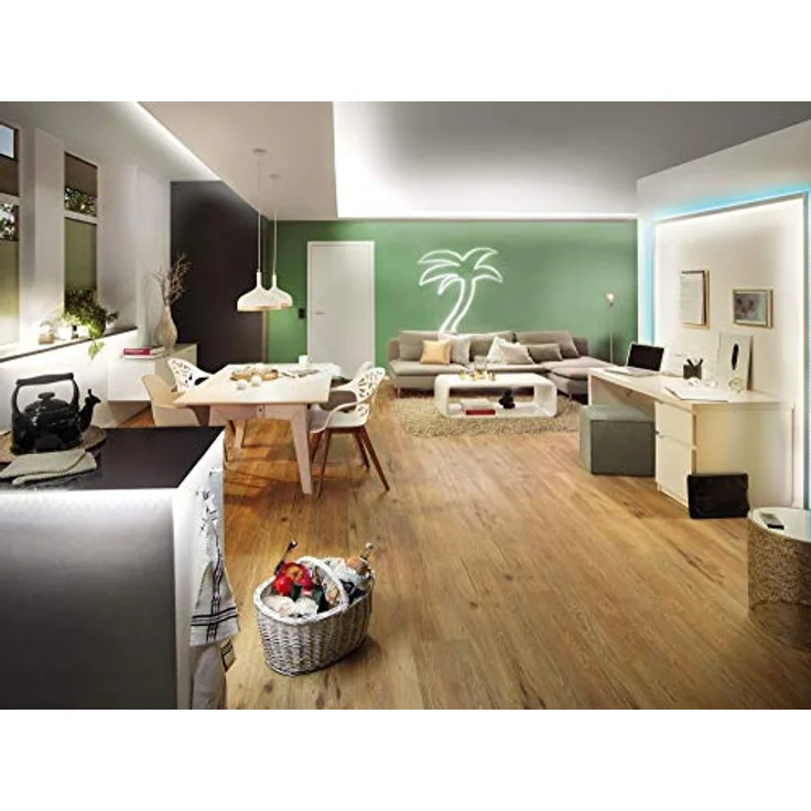 Paulmann 704.30 Function YourLED ECO Basisset 3m RGB 14,5W 230/12V Niedervolt 24VA Schwarz Kunststoff 70430 LED Lichtband Lichtstreifen Lichtschlauch – Bild 2