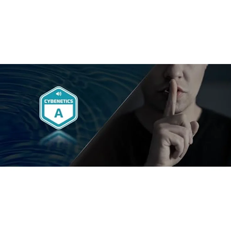 AsRock Steel Legend 1000W ATX Netzteil, 80+ Gold zertifiziert, modulares Kabelmanagement, Schwarz – Bild 8