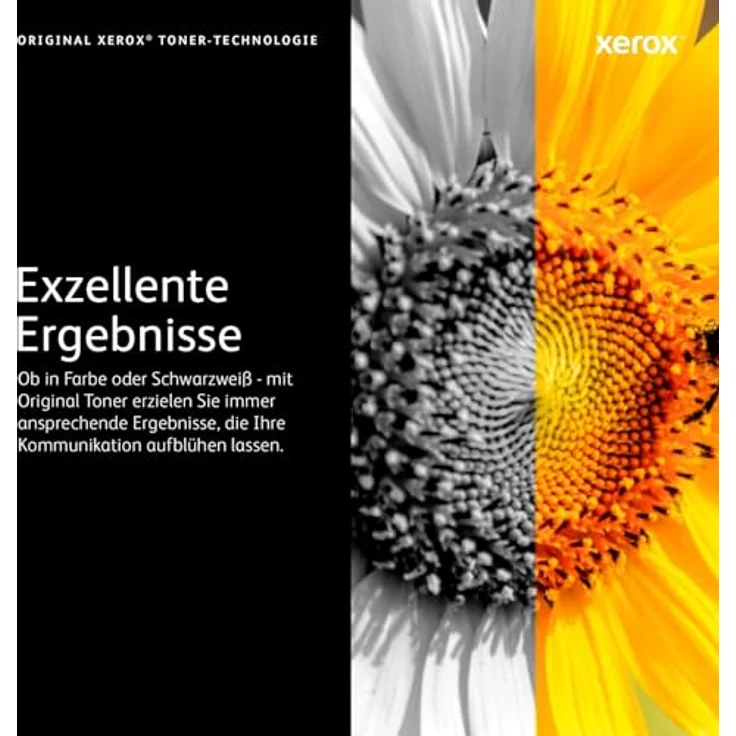 Xerox 106R3861 Original Toner 1er Pack - Preisvergleich – Bild 5