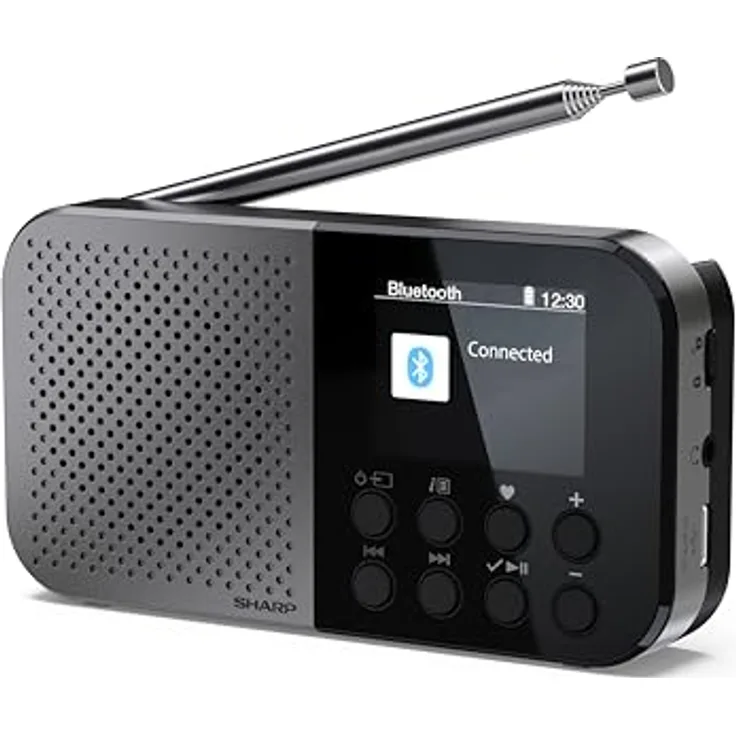 Sharp DR-P520, ultraportables DAB+ Mini-Radio mit integriertem Lautsprecher und Kopfhöreranschluss, Schwarz