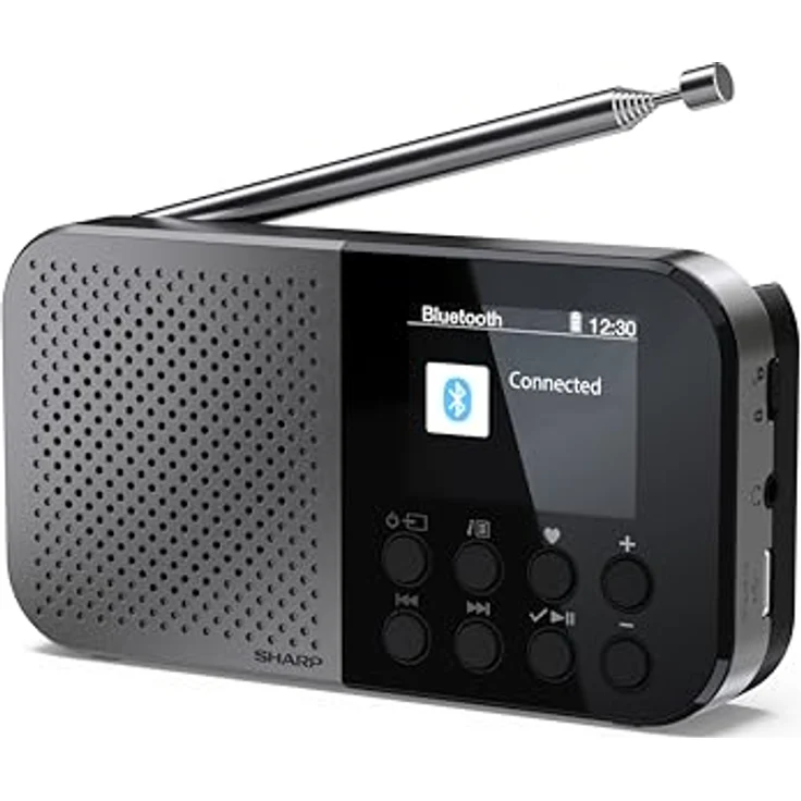 Sharp DR-P520, ultraportables DAB+ Mini-Radio mit integriertem Lautsprecher und Kopfhöreranschluss, Schwarz – Bild 1