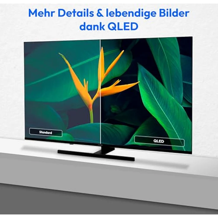 MEDION MD 843700, 43 Zoll QLED Smart TV mit 4K, Dolby Vision HDR, Dolby Atmos, Bluetooth und Google TV – Bild 4