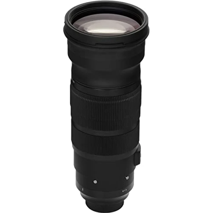 Sigma 120 - 300 mm / F 2,8 Apo EX/DG/OS/HSM für Nikon F – Bild 9