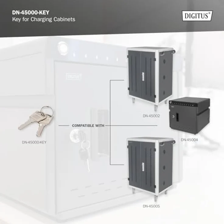 DIGITUS Ersatzschlüssel für Ladeschränke DN-45000, DN-45002 & DN-45005 - Zwei Stück - Silber – Bild 2