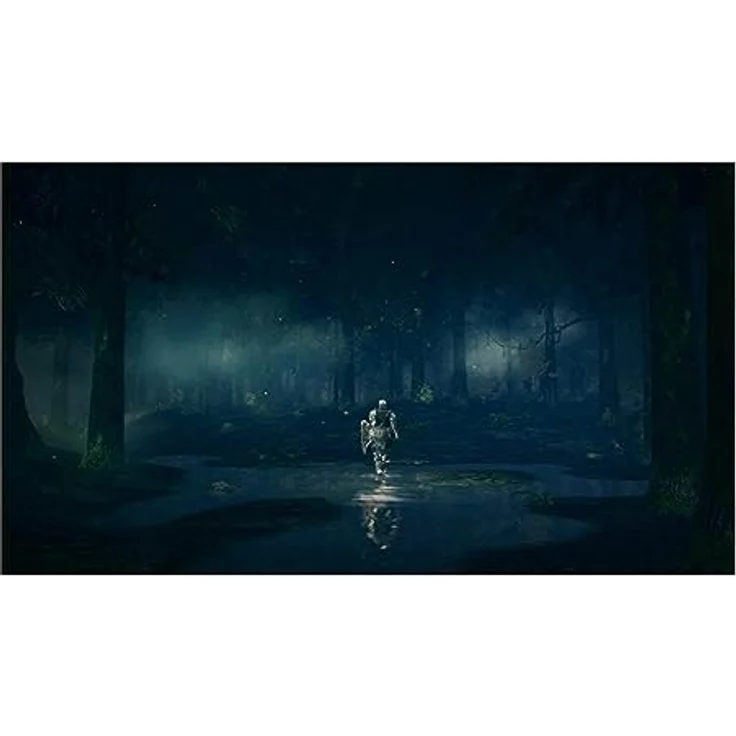 Dark Souls Trilogy PS4 - Preisvergleich – Bild 5