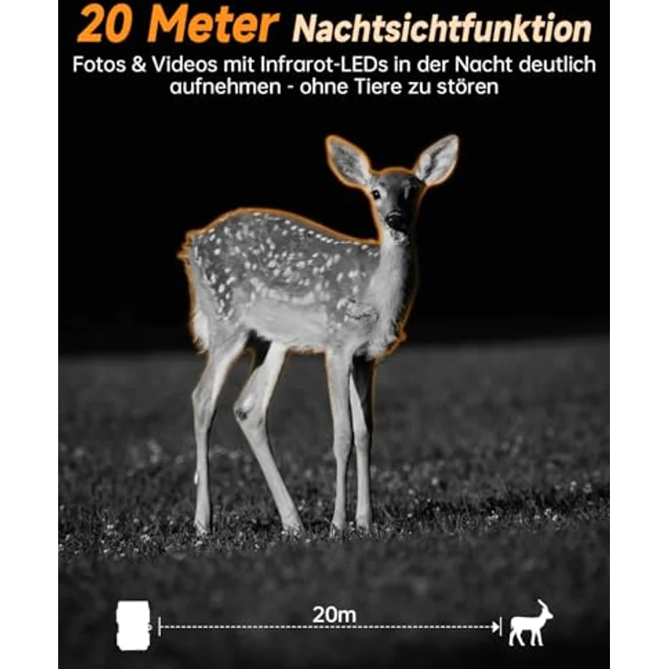 Rollei Wildkamera 4K WiFi Solar, 48 MP mit App-Steuerung und integrierten Solarpanel – Bild 6