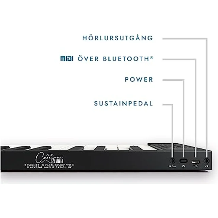 Blackstar BA215011 Handgepäck FP-88 Touch 88 Tasten berührungsempfindlich Schwarz Tragbares Faltbares Digitalpiano durch USB MIDI Controller mit wiederaufladbarem Akku - Preisvergleich – Bild 3