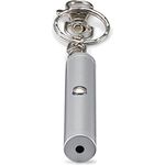 Hama Laserpointer rot aus Metall (Schlüsselanhänger, Presenter, Pointer, Laserklasse 2, mit Karabiner Anhänger, 50 m Reichweite, Laser Pointer, 0,8 MW, 640 nm) chrom