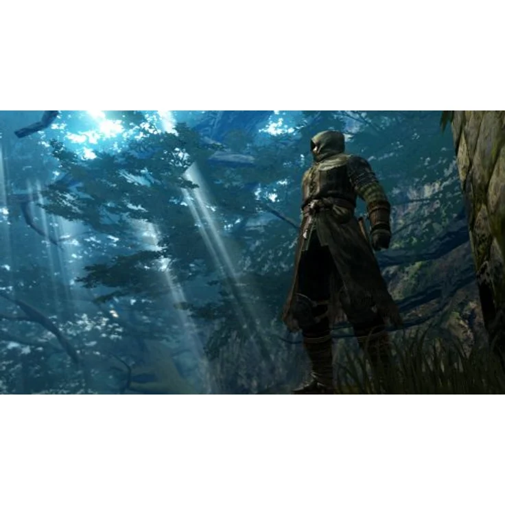 Dark Souls (PS3) – Bild 4