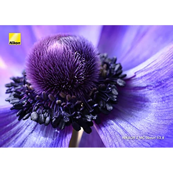 Nikon Z MC 50 mm 1:2.8 Schwarz – Bild 2