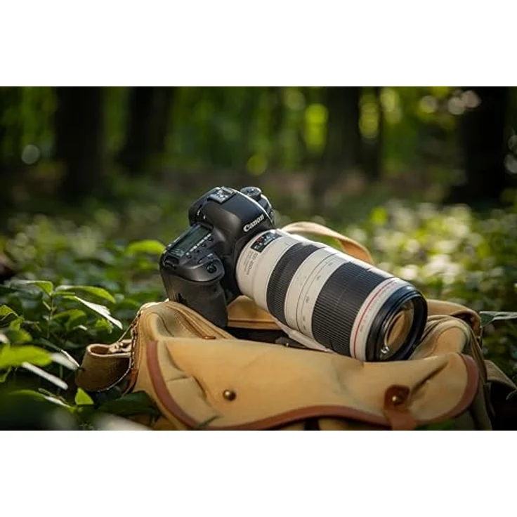 Canon Telezoomobjektiv EF 100-400mm F4.5-5.6L IS II USM Telezoom für EOS (77mm Filtergewinde) schwarz – Bild 5