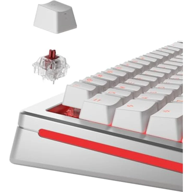 Glorious Fox Heavy Switches, mechanisch, 5-Pin, linear, MX-Stem, 55g - lubed, 110 Stück – Bild 2