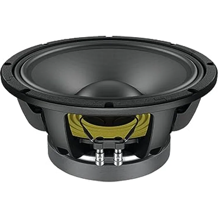 Lavoce Waschbecken 12602529 Woofer 12" aus Ferrit, Aluminiumkorb